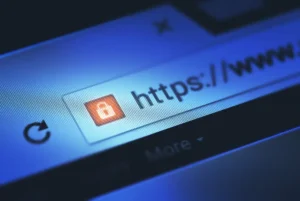 Web_Security_Vulnerability-300x201